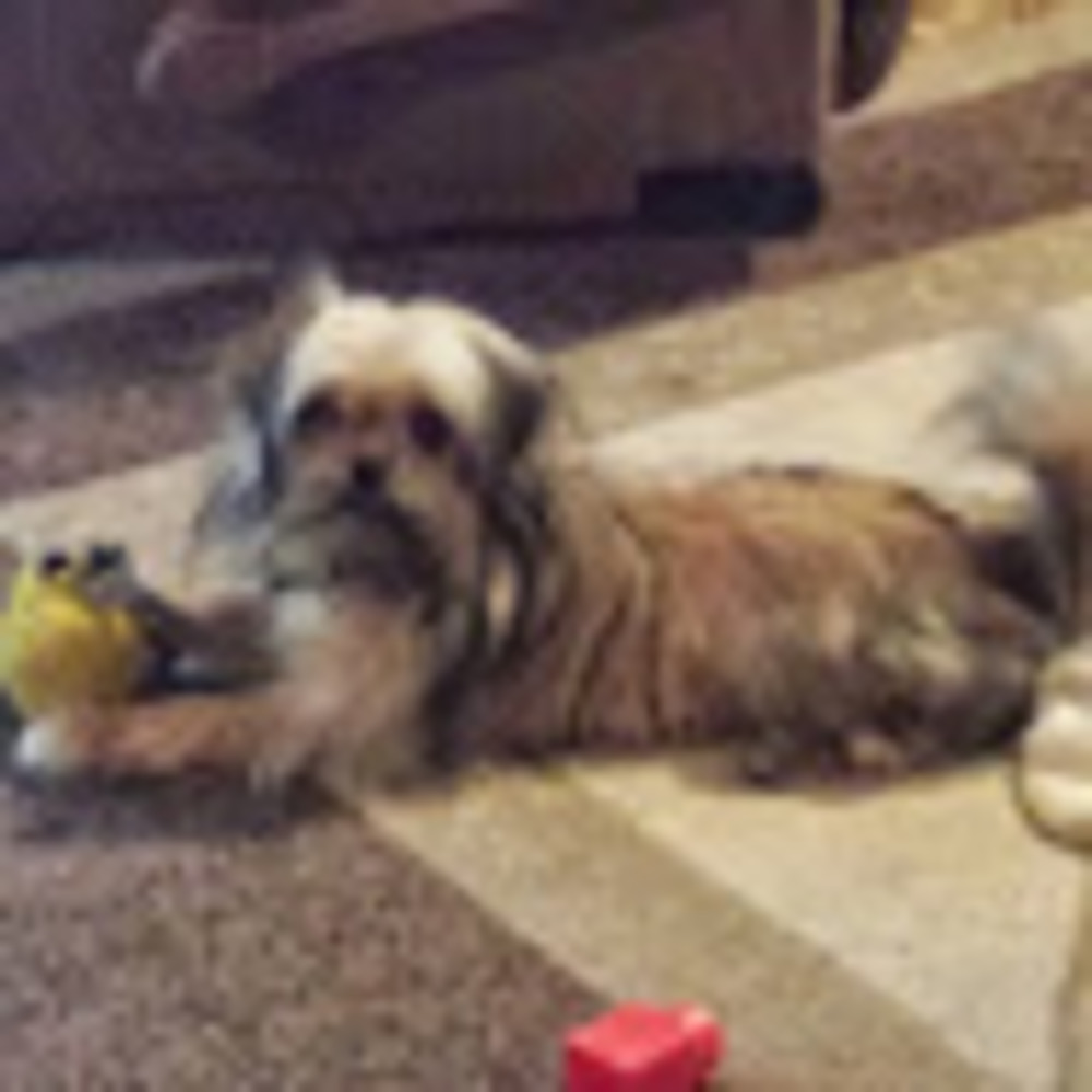 Meet your Posher, Mary